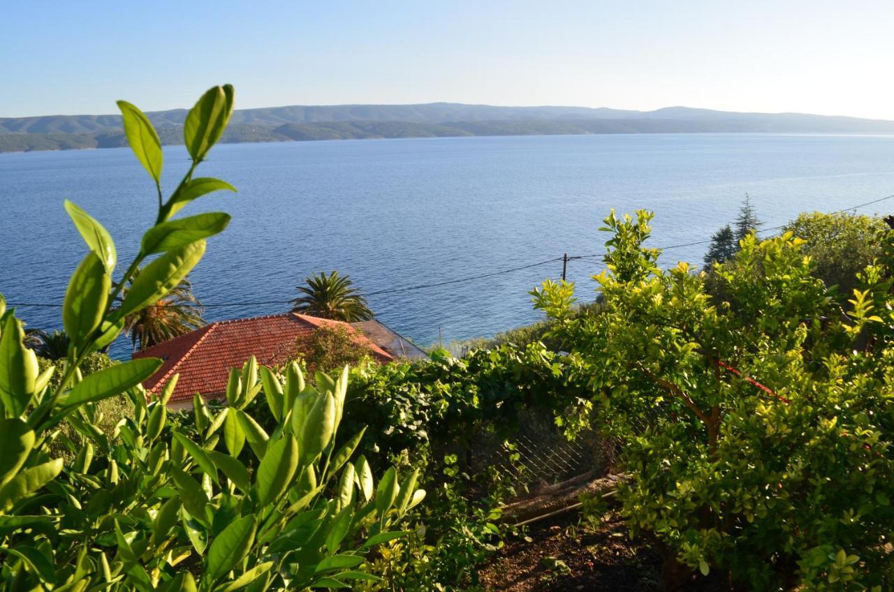Holiday Villa In Omiš Εξωτερικό φωτογραφία
